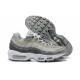 Men Sports Shoes Nike Air Max 95 TT Grey White DC9844-001