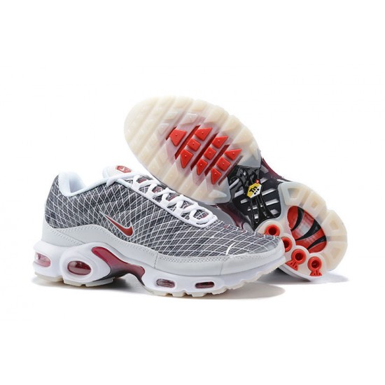 Men Sports Shoes Nike Air Max Plus Tn Grey and White